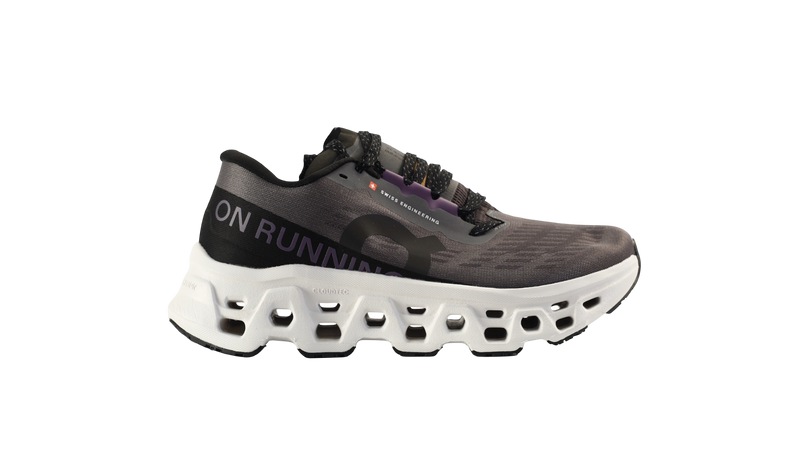 Cloudmonster 2 Gris Violet