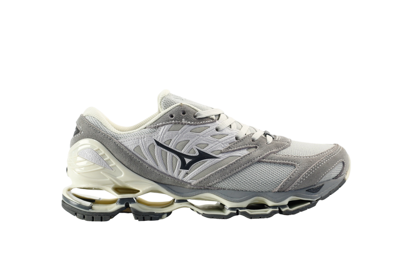 Wave Prophecy Beige Grey